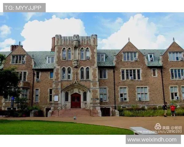 圣路易斯大学与老虎大学精彩对决在线直播全程回放与分析 圣路易斯大学与老虎大学精彩对决在线直播全程回放与分析