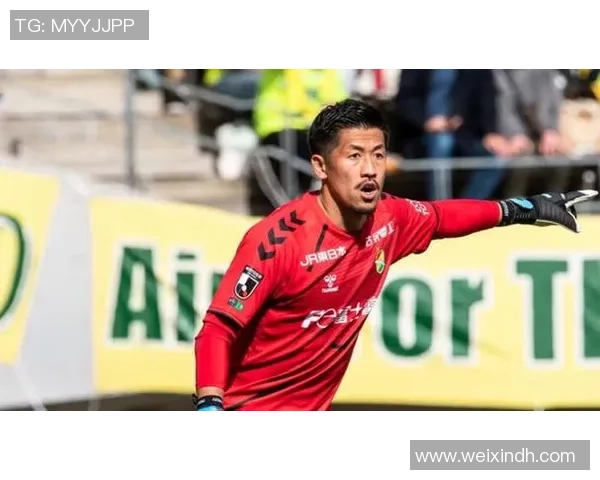 新泻天鹅与千叶市原对决全方位分析及赛前预测