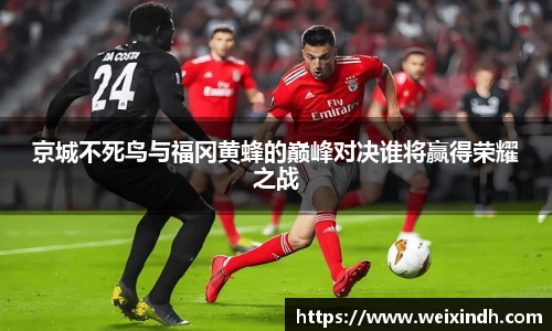 京城不死鸟与福冈黄蜂的巅峰对决谁将赢得荣耀之战