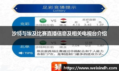 沙特与埃及比赛直播信息及相关电视台介绍